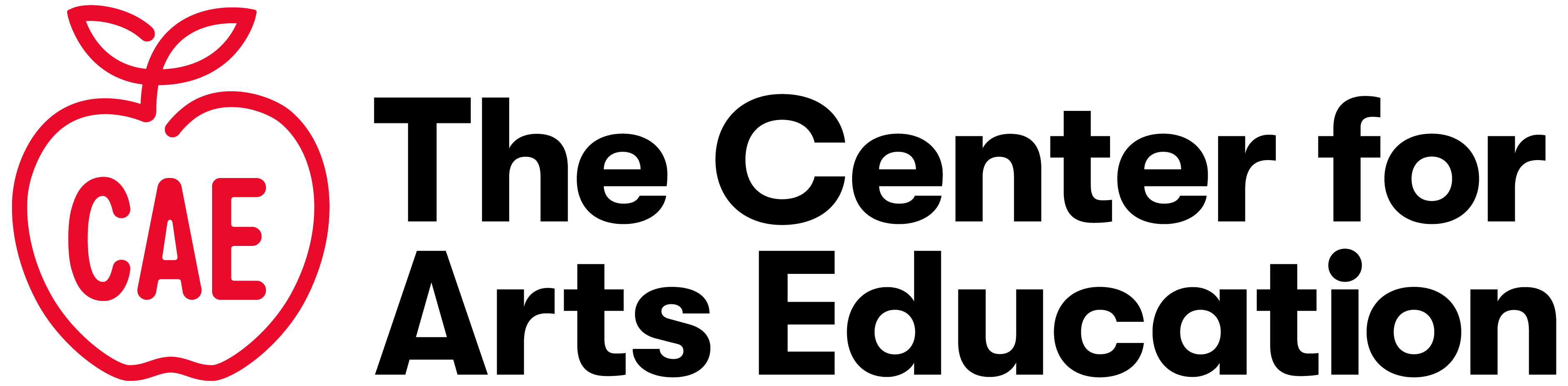 Logo for "THE CENTER FOR ARTS EDUCATION INC"
