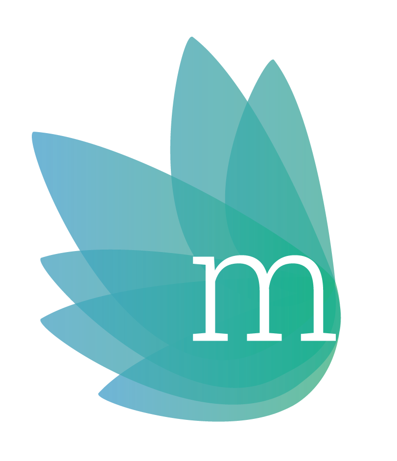 Logo for "MANOMET INC"