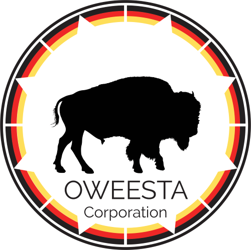 Logo for "OWEESTA CORPORATION"