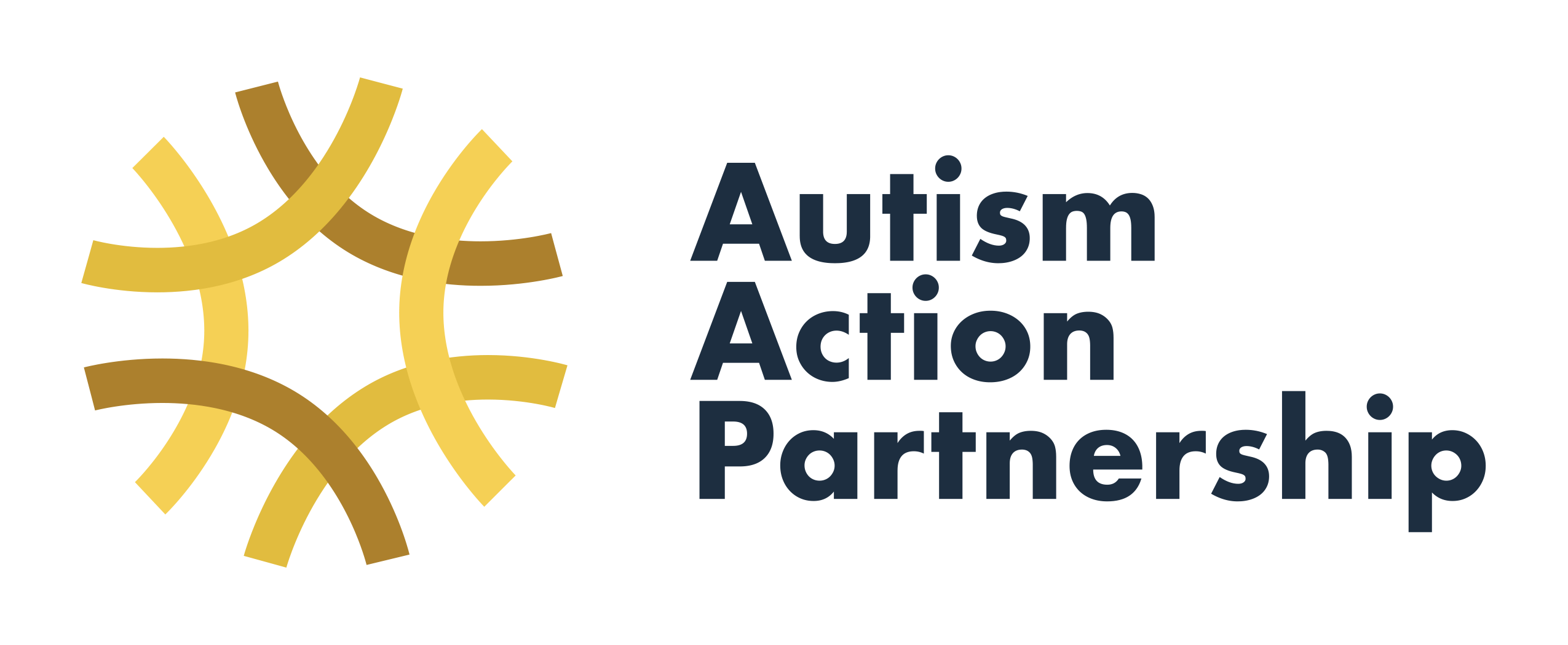 Logo for "AUTISM ACTION PARTNERSHIP"