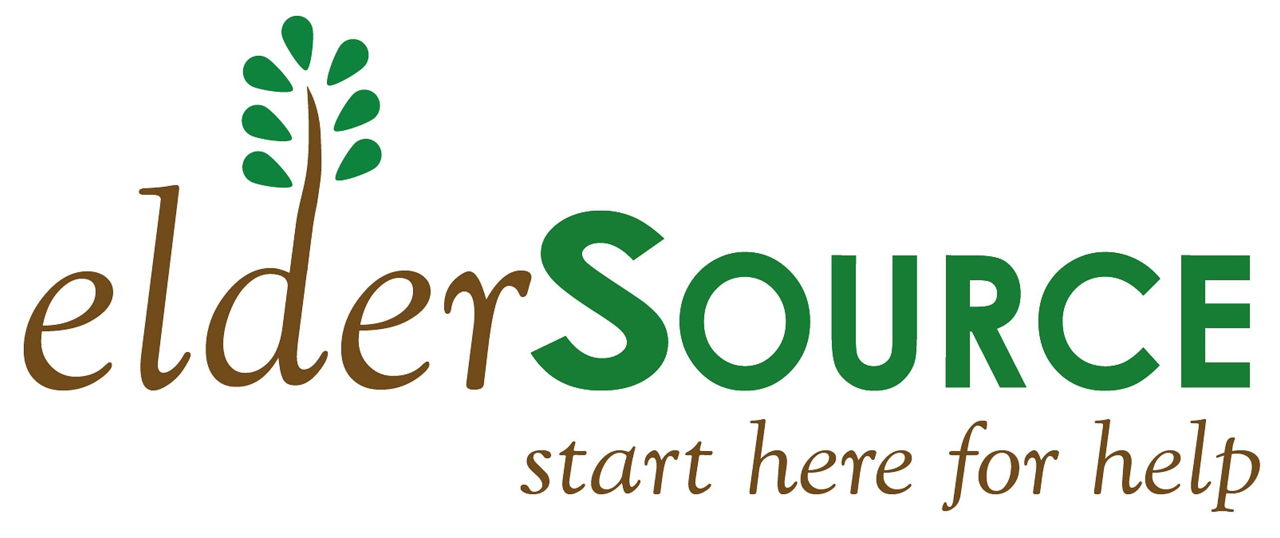 Logo for "NORTHEAST FLORIDA AREA AGENCY ON AGING INC"