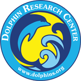 Logo for "DOLPHIN RESEARCH CENTER INC"