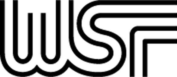 Logo for "Womens Sports Foundation"