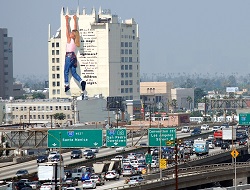 Logo for "Children of the Night"