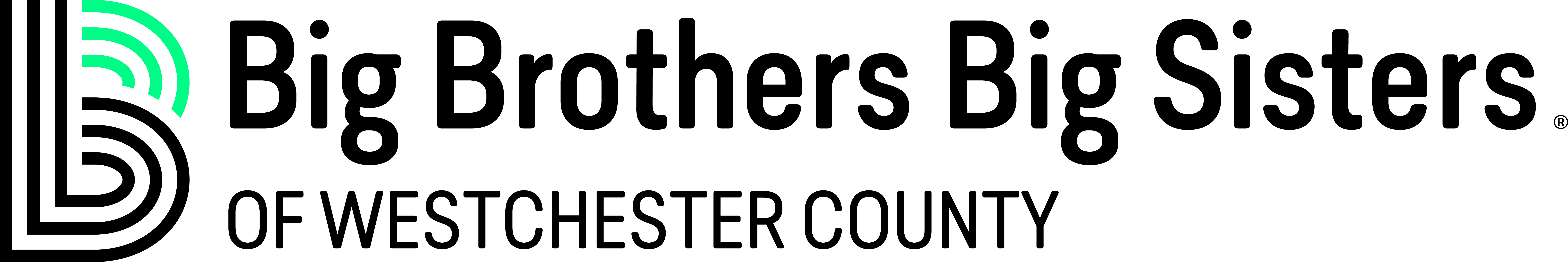 Logo for "BIG BROTHERS BIG SISTERS OF WESTCHESTER COUNTY INC"
