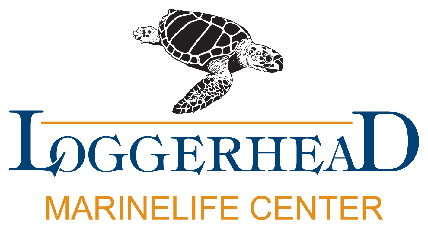 Logo for "Loggerhead Marinelife Center Inc"
