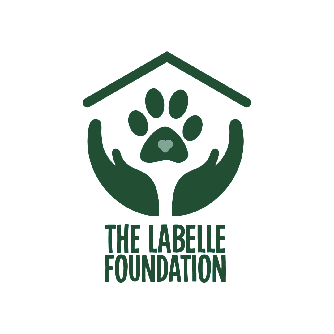 Logo for "The Labelle Foundation Inc"