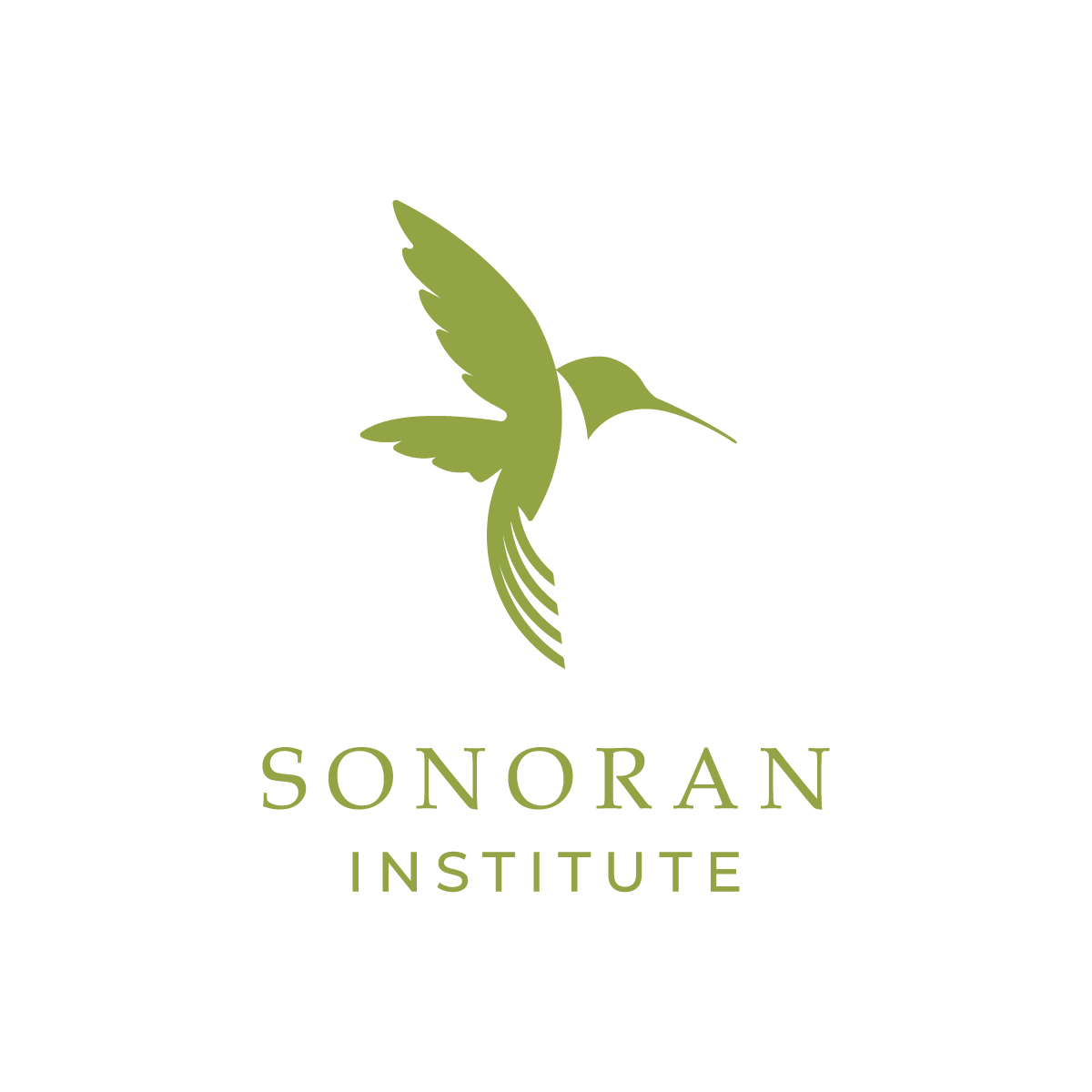 Logo for "THE SONORAN INSTITUTE INC"