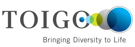 Logo for "ROBERT A TOIGO FOUNDATION"