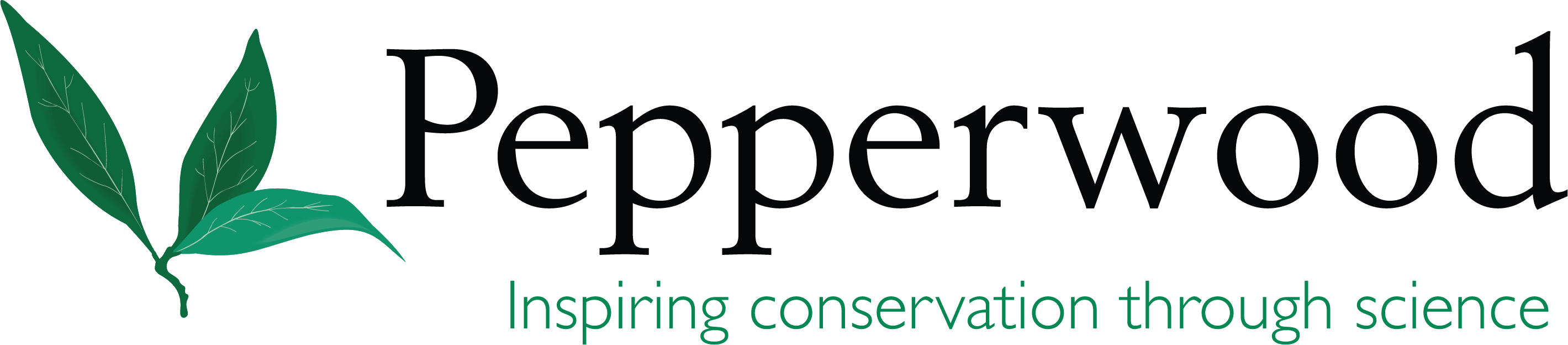 Logo for "PEPPERWOOD FOUNDATION"