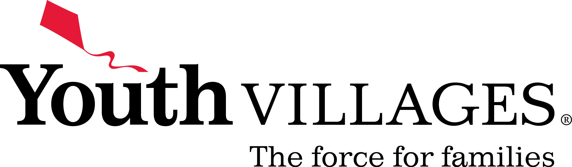 Logo for "YOUTH VILLAGES INC"