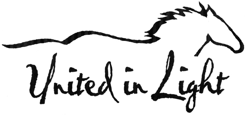 Logo for "UNITED IN LIGHT INC"
