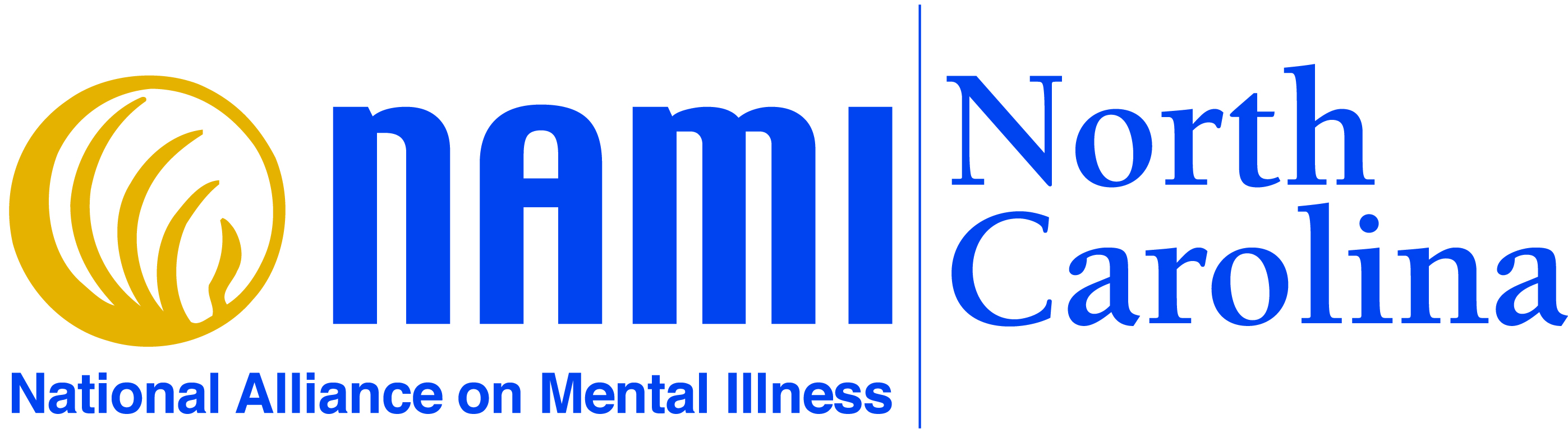 Logo for "NAMI NORTH CAROLINA INC"