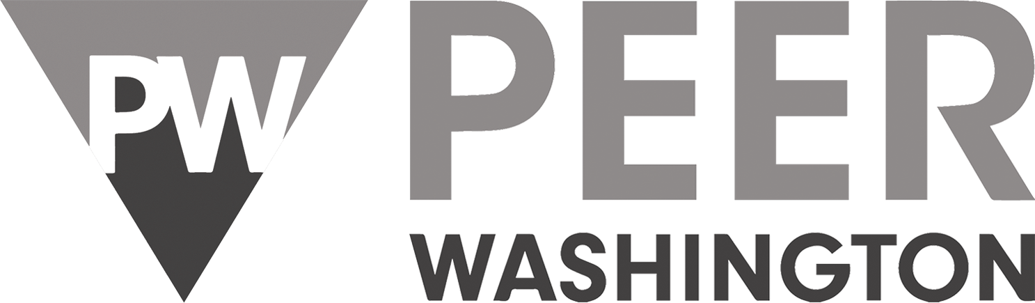 Logo for "PEER WASHINGTON"