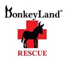 Logo for "DonkeyLand"