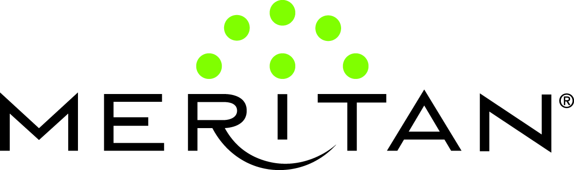 Logo for "MERITAN INC"