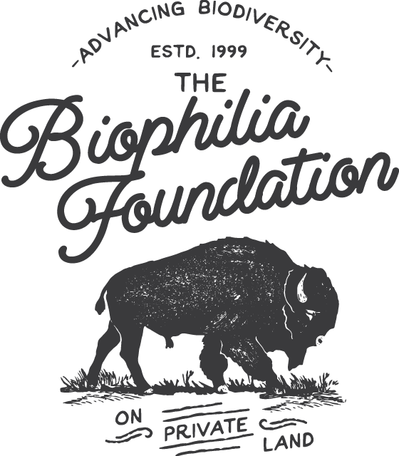 Logo for "THE BIOPHILIA FOUNDATION INC"