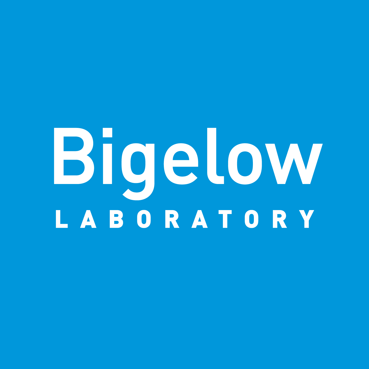 Logo for "Bigelow Laboratory for Ocean Sciences"