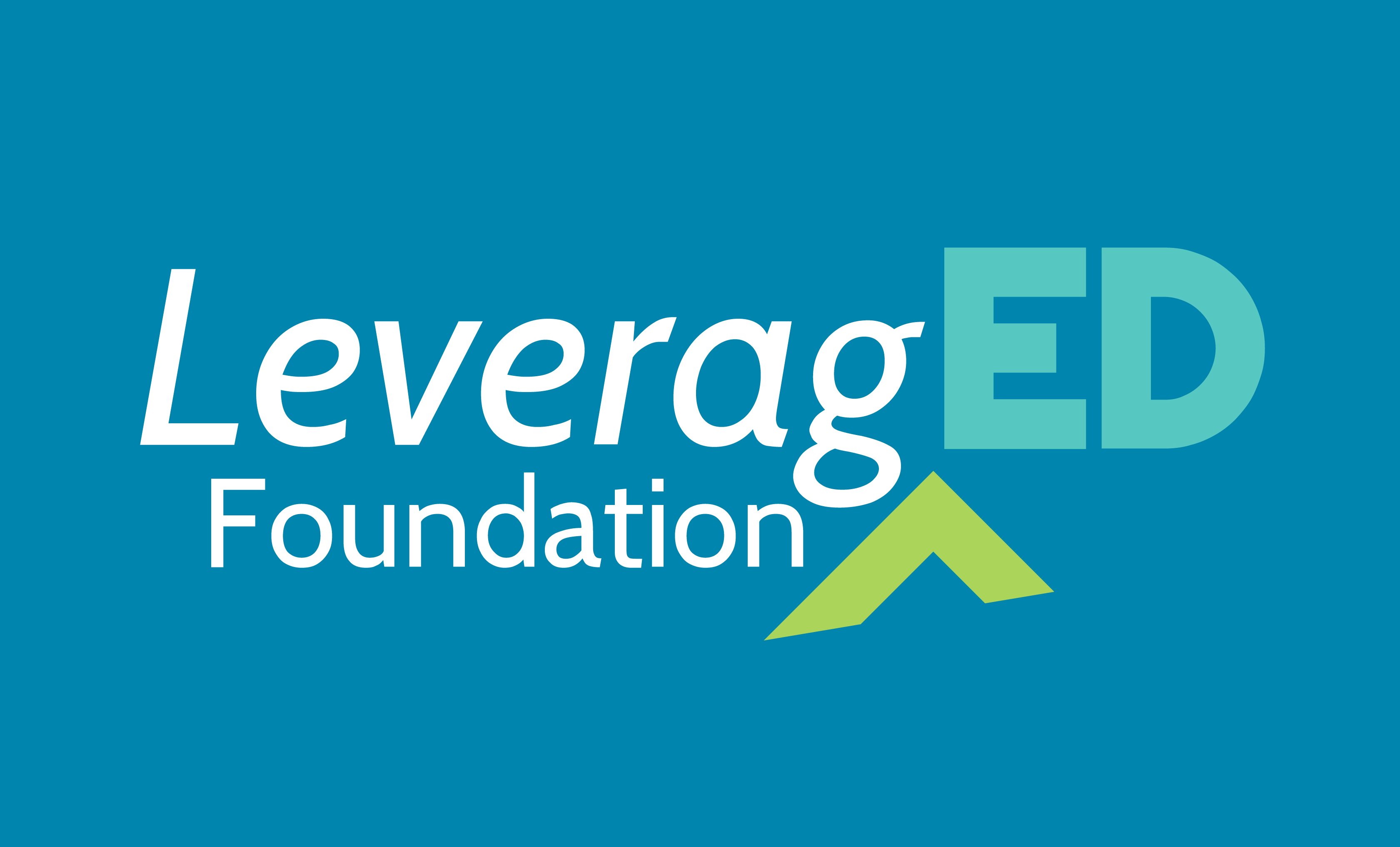 Logo for "LEVERAGED FOUNDATION"