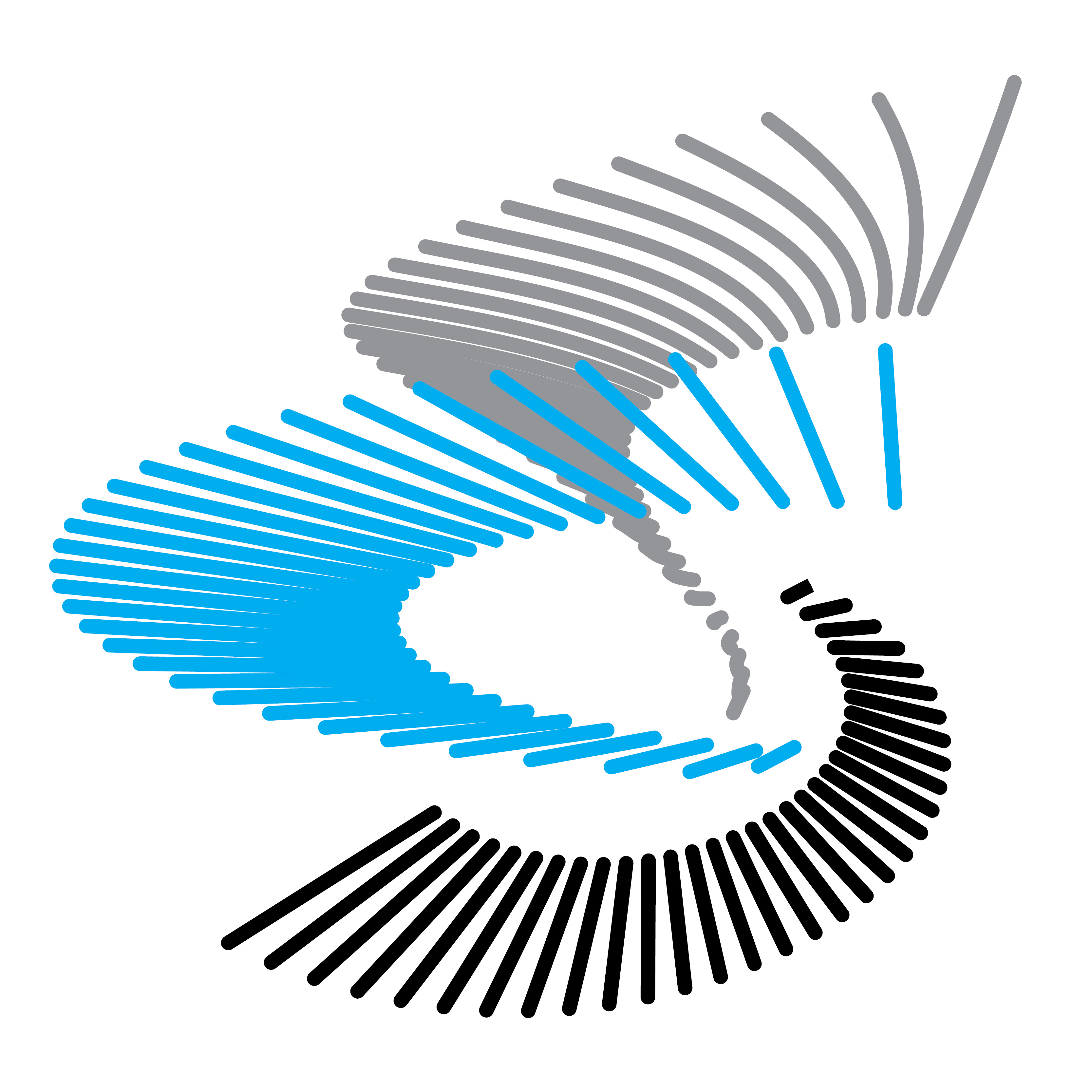 Logo for "CHARLOTTE SYMPHONY ORCHESTRA SOCIETY INC"