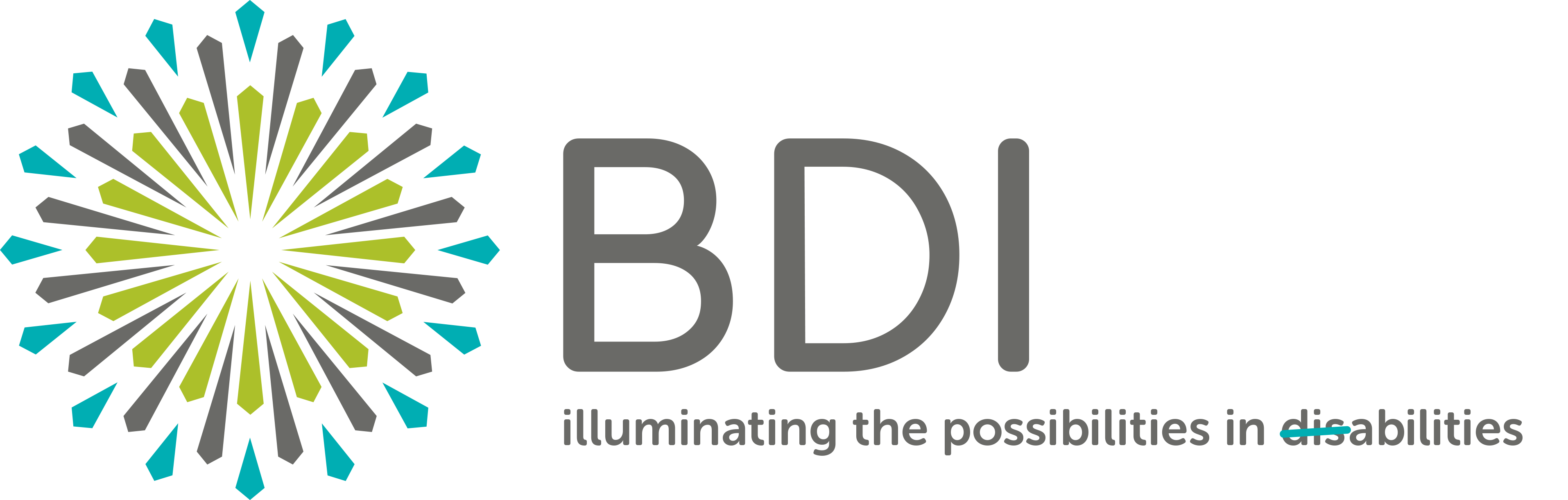 Logo for "BOBBY DODD INSTITUTE INC"