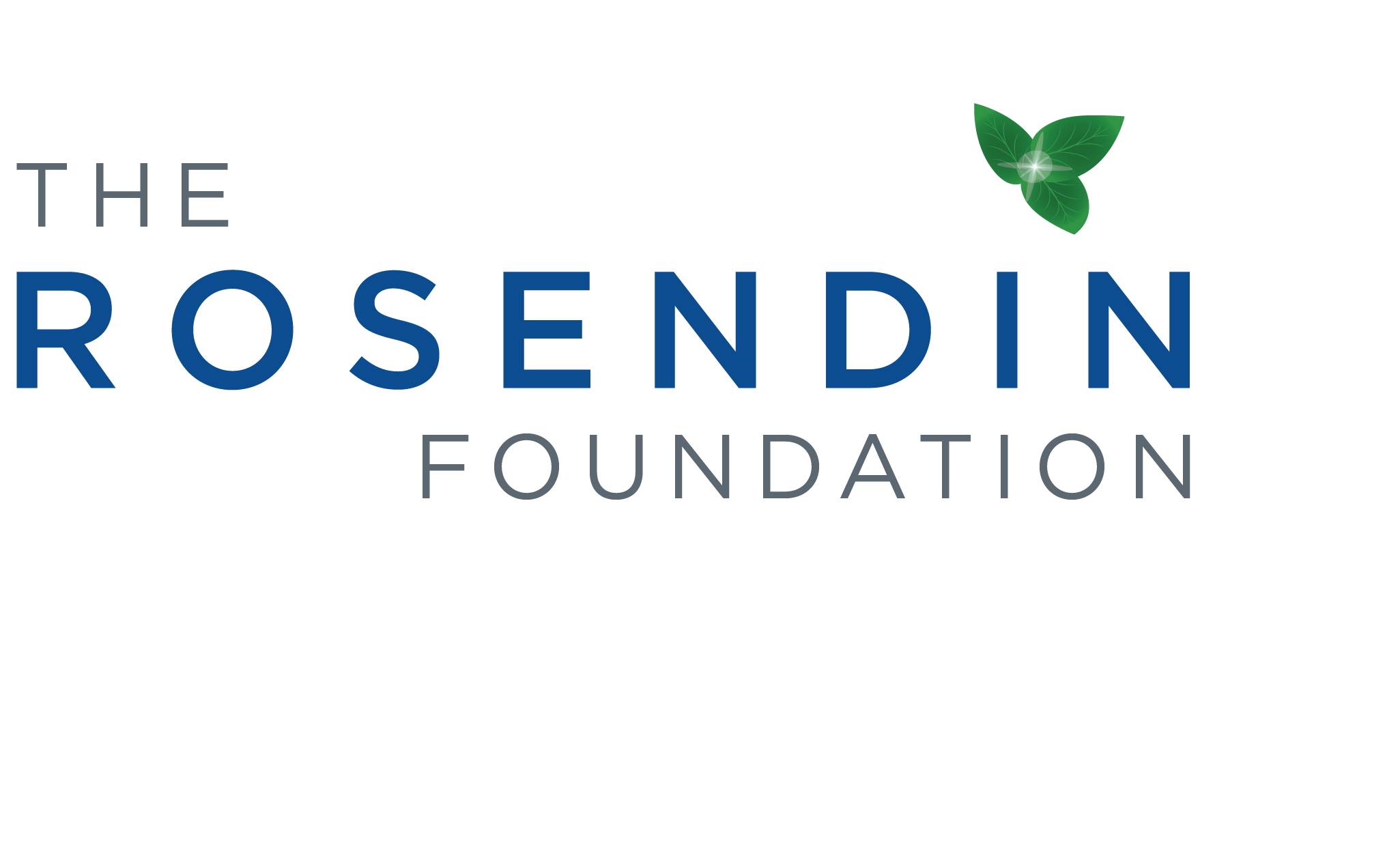 Logo for "THE ROSENDIN FOUNDATION"