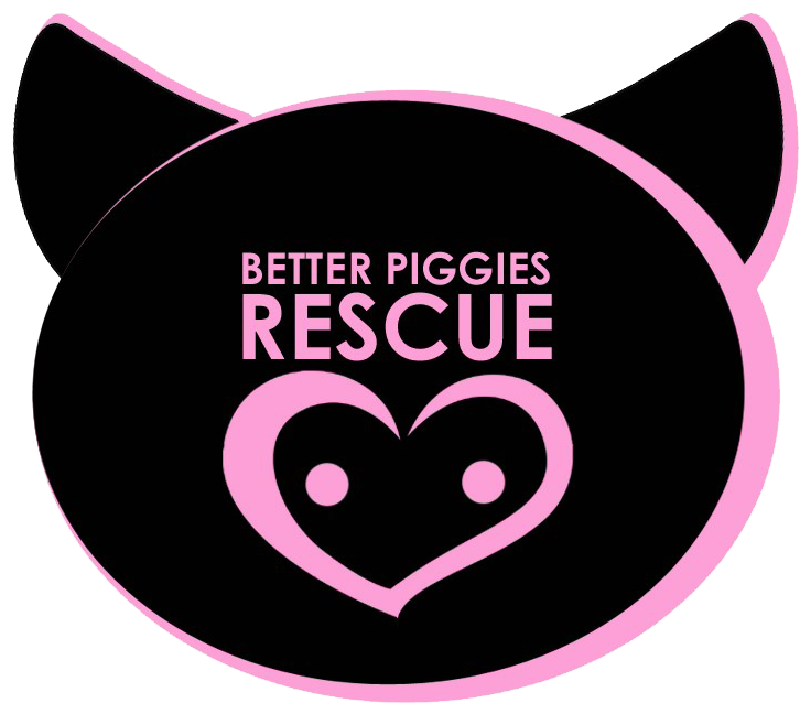Logo for "BETTER PIGGIES RESCUE"