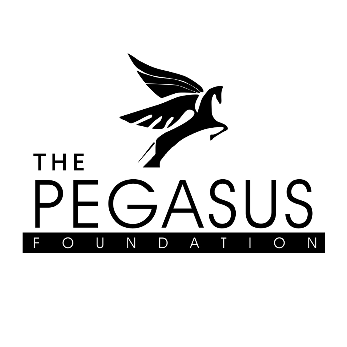 Logo for "THE PEGASUS FOUNDATION"