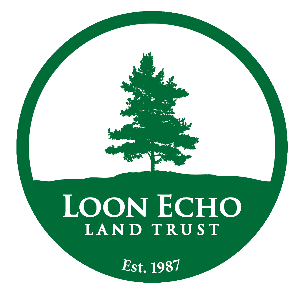 Logo for "Loon Echo Land Trust Inc."