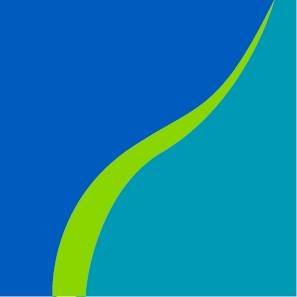 Logo for "ROCHESTER AREA COMMUNITY FOUNDATION"