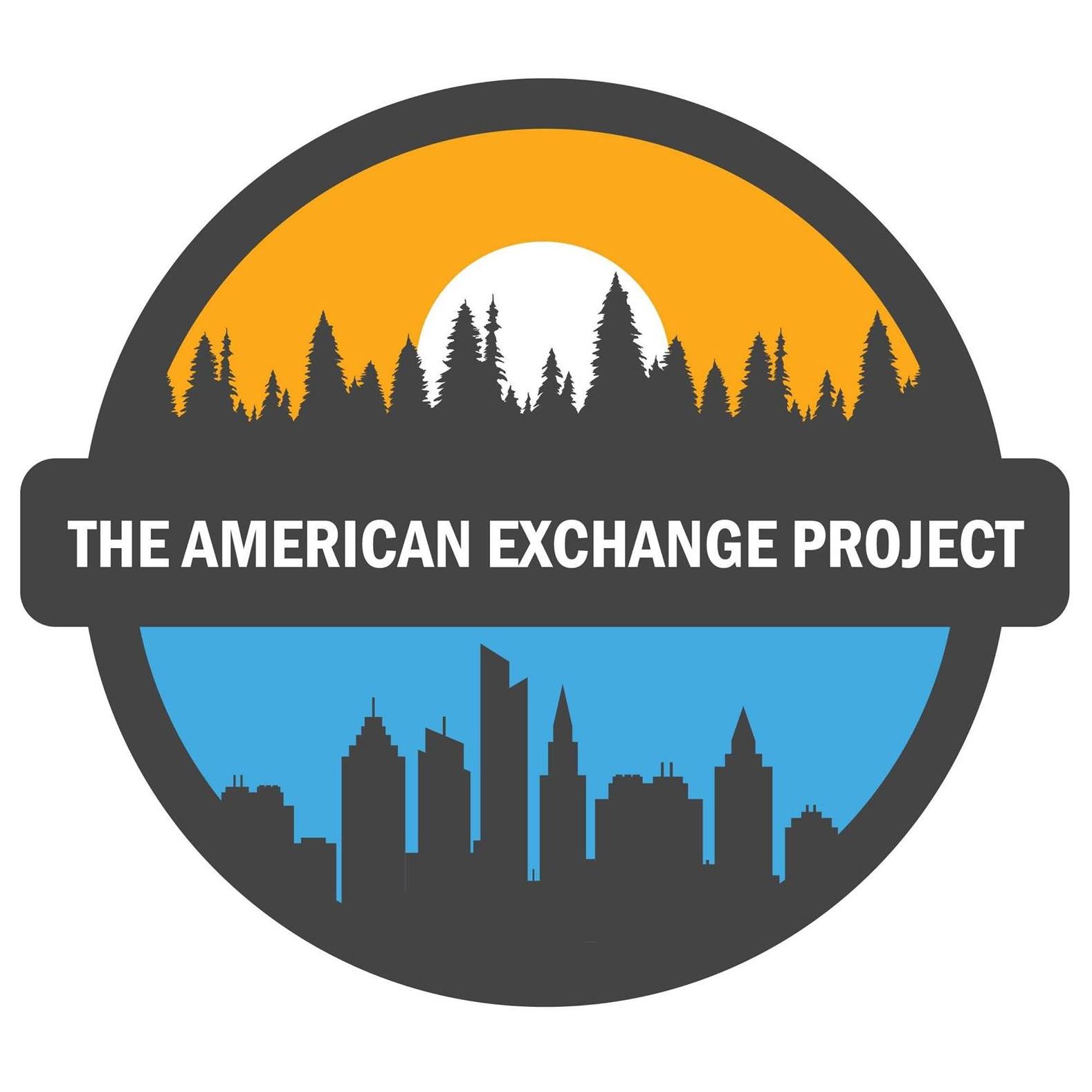 Logo for "THE AMERICAN EXCHANGE PROJECT INC"