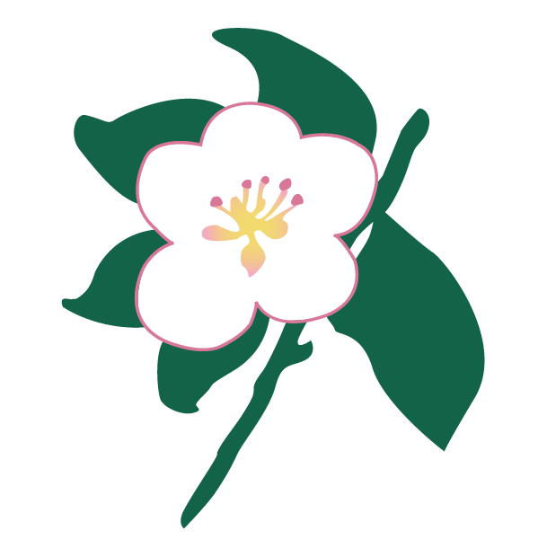 Logo for "COMMUNITY FOUNDATION OF NORTH CENTRAL MASSACHUSETTS INC"