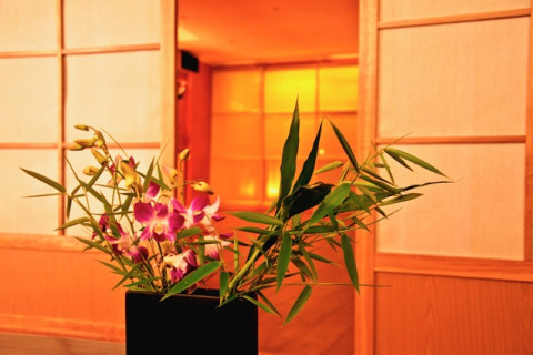 center visual