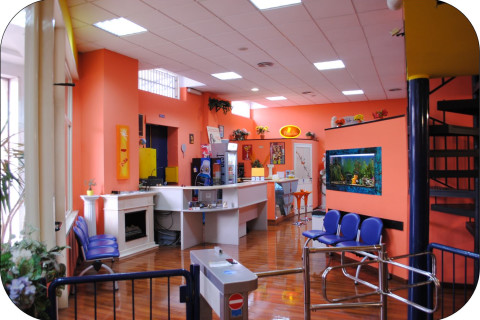gallery visual content