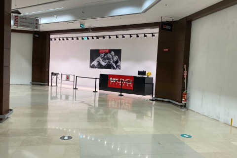 gallery visual content