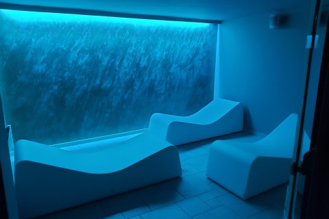 gallery visual content