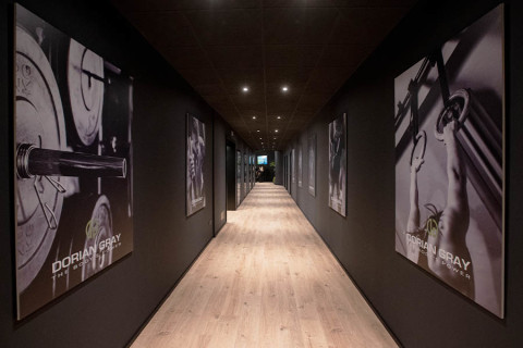 gallery visual content