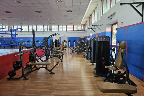 Arhena Palasport