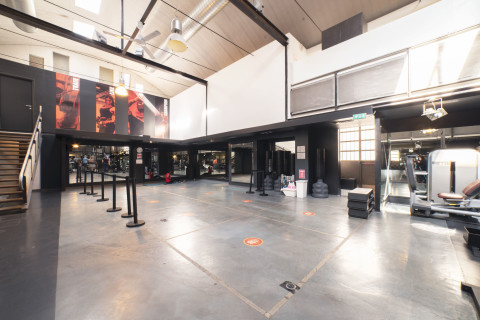 gallery visual content