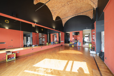 gallery visual content
