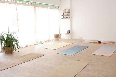 gallery visual content