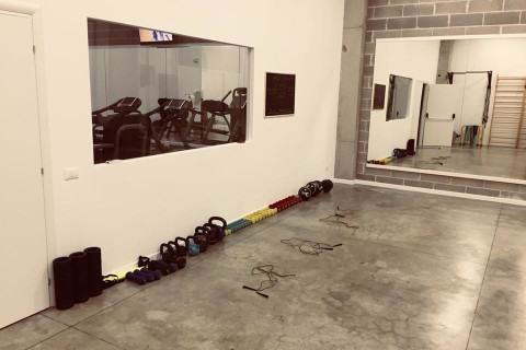 gallery visual content