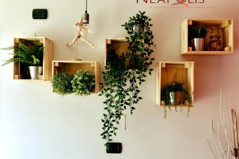 gallery visual content