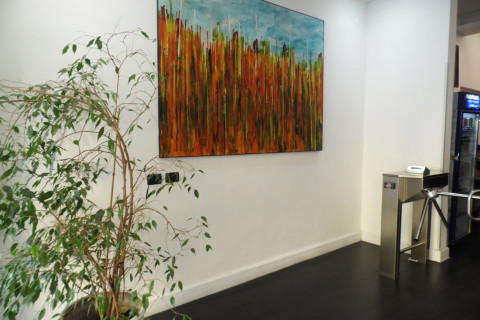 gallery visual content