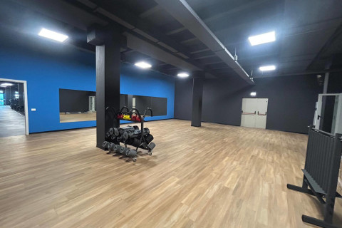 gallery visual content