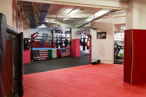 gallery visual content