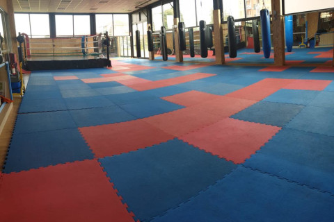 Action Team Gym Buozzi