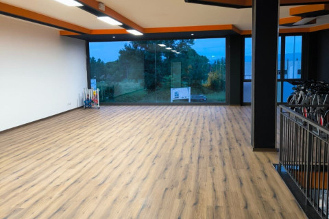 gallery visual content
