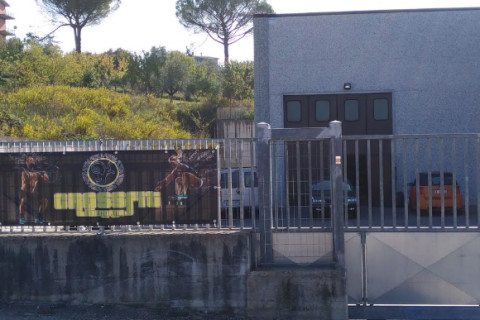 Crossfit Mentana
