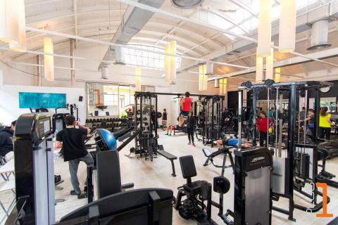 Plus 1 Gym Concept